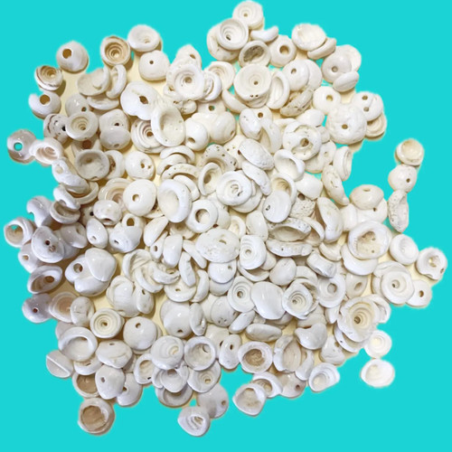 Pre drilled white puka - white, shells