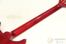 Paul Reed Smith(PRS) SE Custom