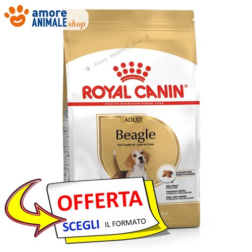Royal canin chien adult - royal,