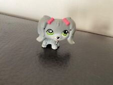 LITTLEST PETSHOP Chien Bichon