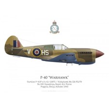 Print Kittyhawk Mk IIA (P-40)