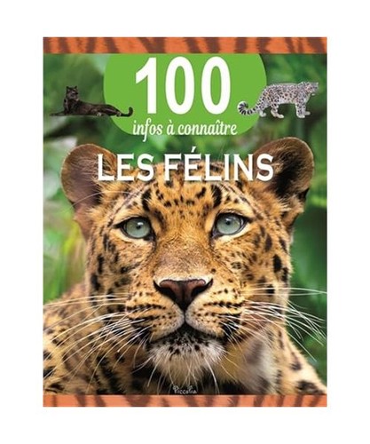 Les félins 100 infos à - félins,