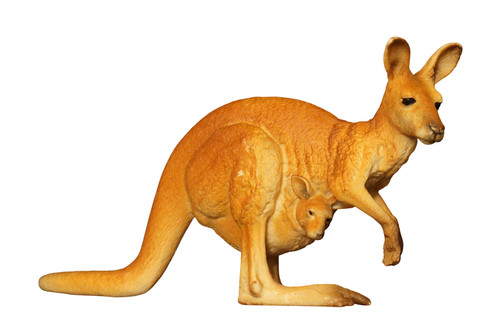 Sélection animaux sauvages - d'animaux,