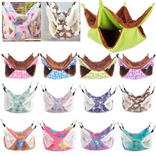 Furet Rat Écureuil Animal De