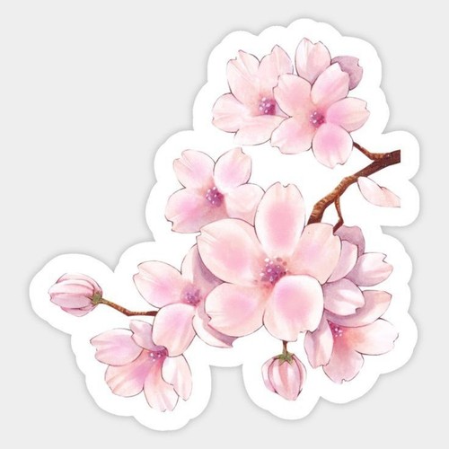 Sticker sakura 9x9 fleurs - sticker,