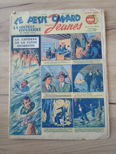 LE PETIT CANARD 29 RICOUNET