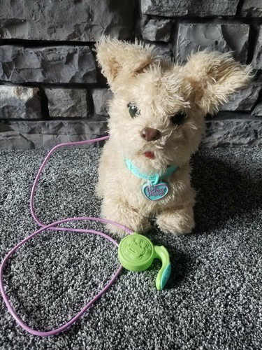 Adorable furreal friends get - furreal,