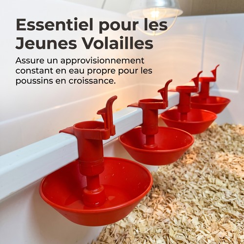 Distributeur eau pour - distributeur, poules