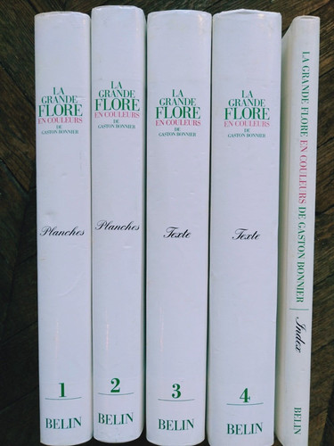 Gande flore couleurs - en, de