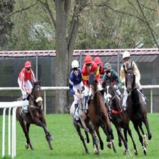 METHODE de TURF: CAROLUS de GRM au Jeu Simple Placé (Egra, Courses, PMU)
