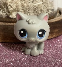 🌸Petshop Chaton 66🌸