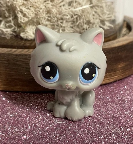 Petshop chaton - chaton, 66🌸
