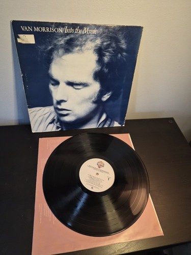 Van morrison into the - morrison,