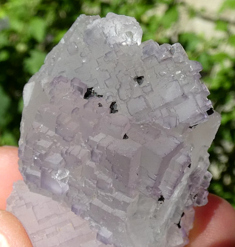 Fluorite mauve fontsante 5x3cm - mauve,