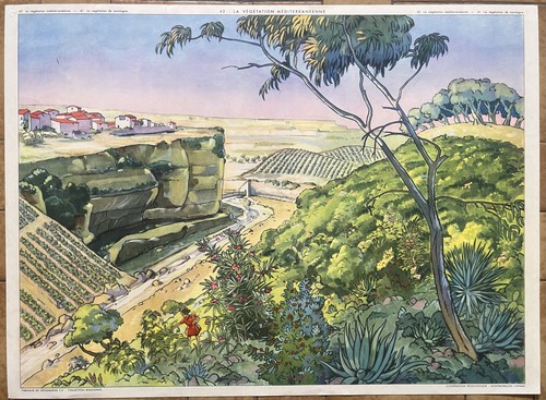 Ancienne affiche - 🏞️,