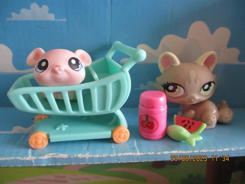 Petshop duo chat sphynx - duo,