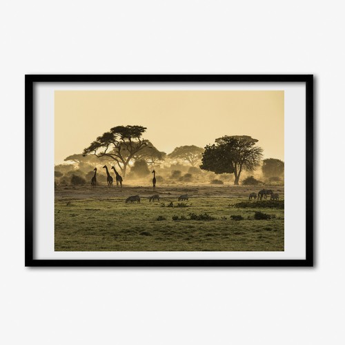 Tulup photo 60x40cm décor mdf - photo,