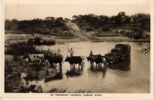 PC OX TRANSPORT CROSSING