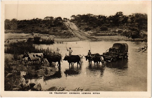 Transport crossing - pc, ox
