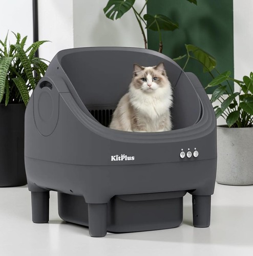 Boîte litière automatique - boîte,