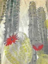TISSU CUILKO AMAZONE  DE CHEZ