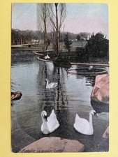 CPA 34 - MONTPELLIER Hérault Les NOUVEAUX JARDIN vers 1900 Lac Cygnes