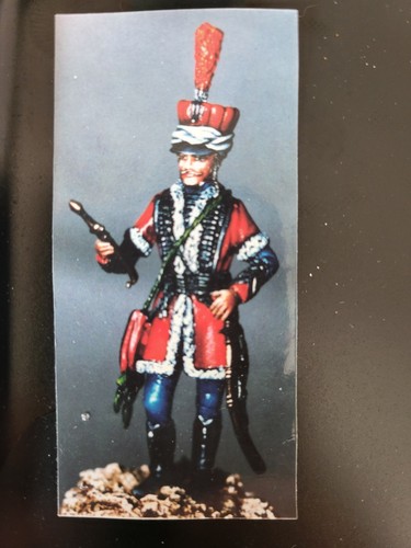 Hussard marais officier - le, du