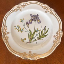 Assiette Spode Stafford