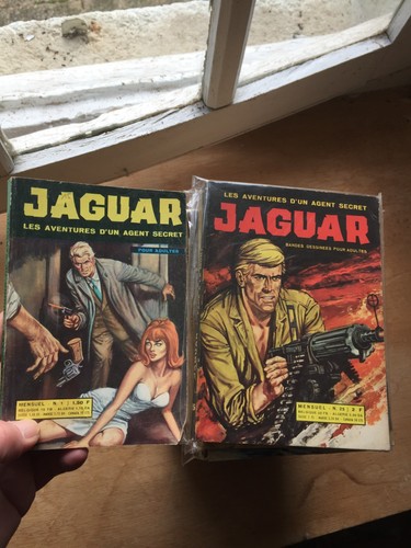 Petit format jaguar - jaguar, gemini
