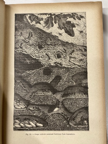 Livre ancien henri coupin - ancien,