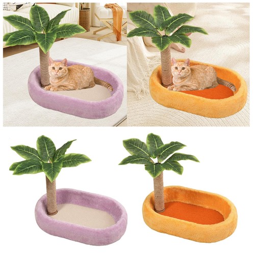Arbre chat corde - chat,