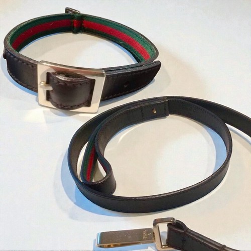 Ensemble collier pour chien