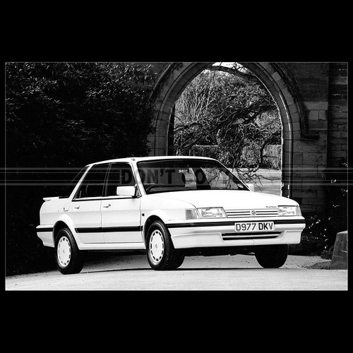 Photo 015783 montego - a.015783,