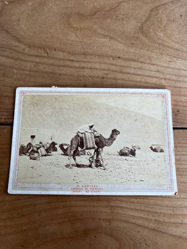 Photo ancienne format - photo, cabinet