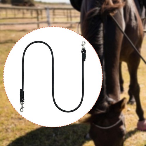 Longe pour chevaux licol - pour,