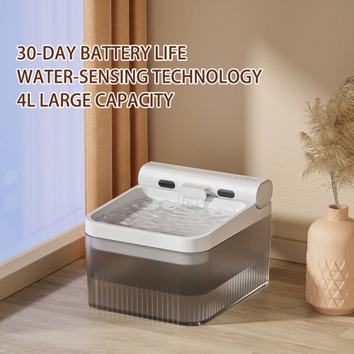 Fontaine eau sans fil - eau, pour