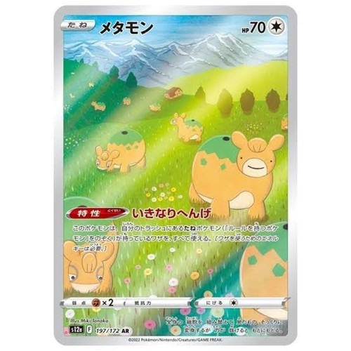 Ditto métamorph 197 172 - ar, 197/172