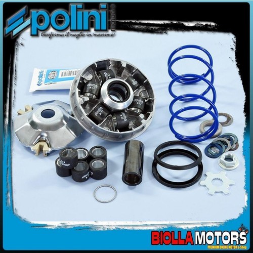 241 748 variateur polini - 241.748,