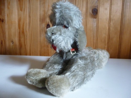 Ancienne peluche caniche - ancienne, peluche 