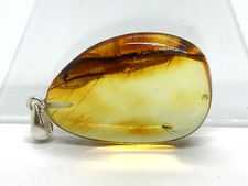 Pendentif Ambre Insecte Cadeau