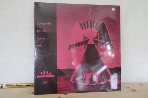 Disque vinyle 33t mint