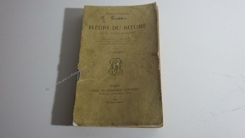1895 fleurs bitume petits - du,