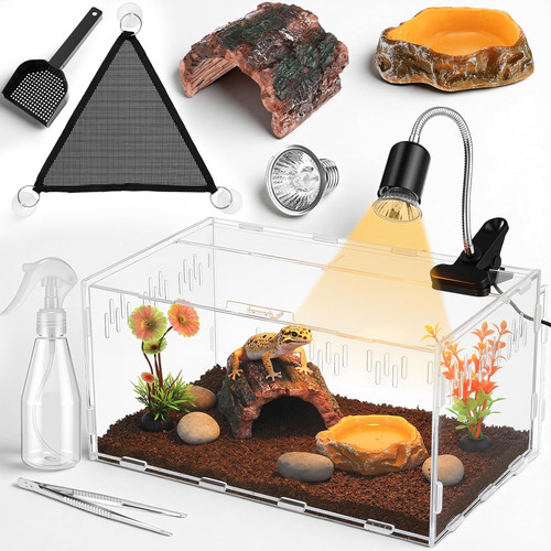 Pcs mini reptile - reptile, terrarium