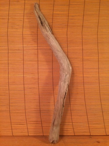 Beautiful driftwood piece - driftwood,