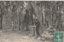 CPA 76 Exploitation en FORET D'EU La Ligature des Fagots