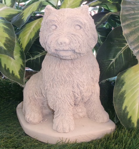 Westie west highland - west, terrier