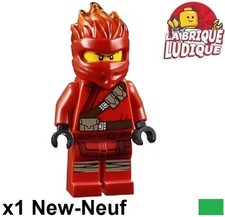 Lego Figurine Minifig Ninjago