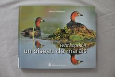Petit bouchon, un oiseau de