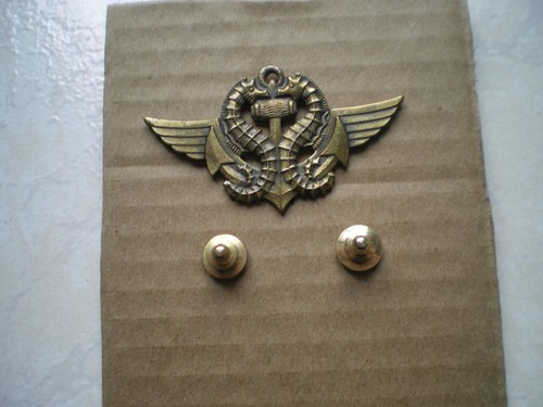 Insigne brevet nageur de - insigne,