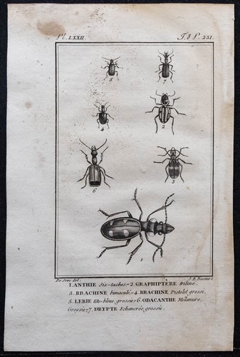 1804 gravure ancienne - ancienne,